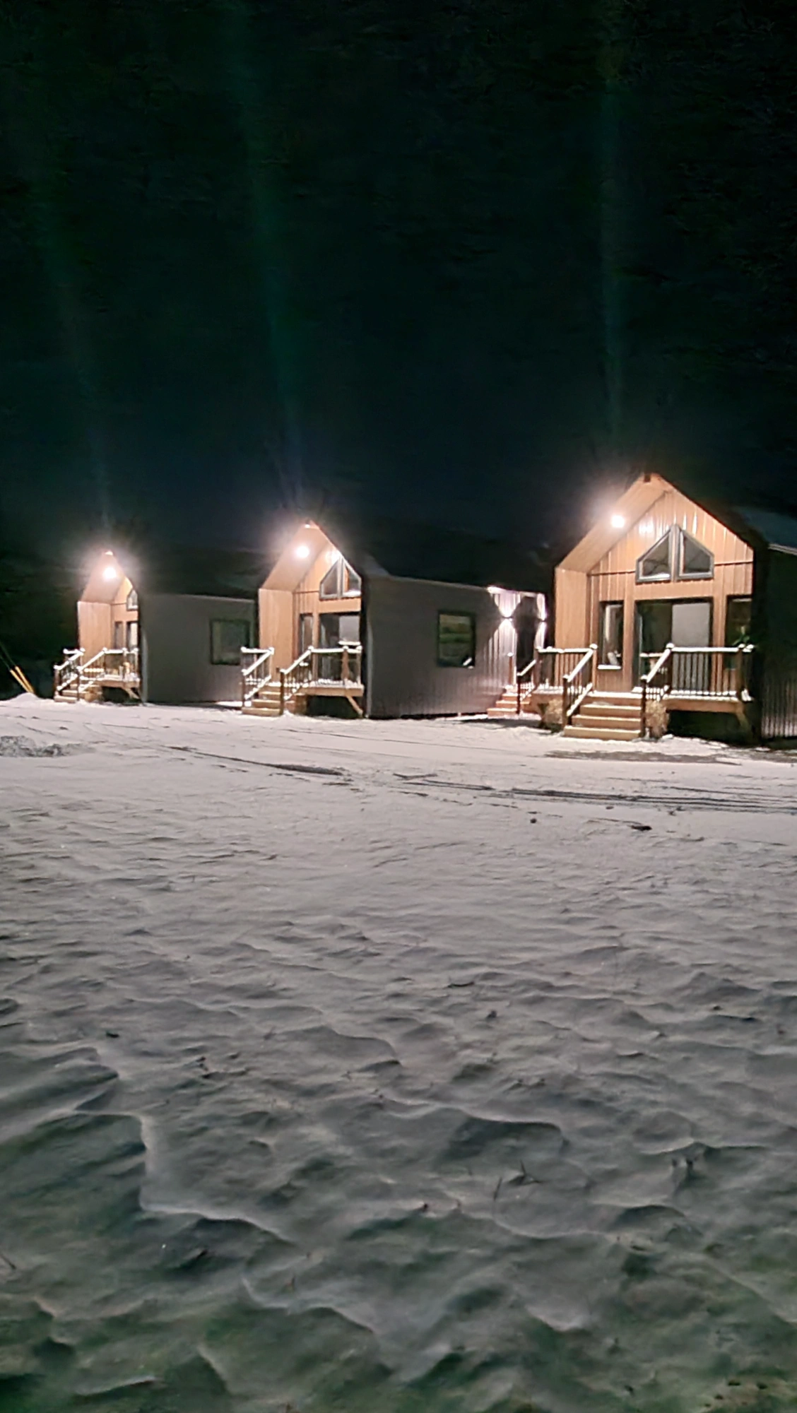 The Birch night view